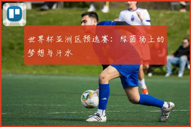 世界杯亚洲区预选赛：绿茵场上的梦想与汗水