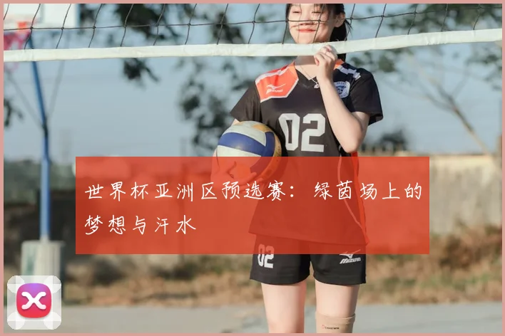 世界杯亚洲区预选赛：绿茵场上的梦想与汗水