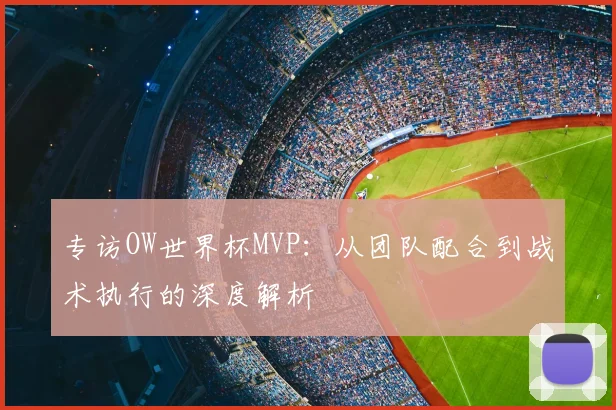 专访OW世界杯MVP：从团队配合到战术执行的深度解析