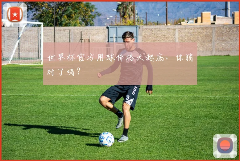 世界杯官方用球价格大起底,你猜对了吗?