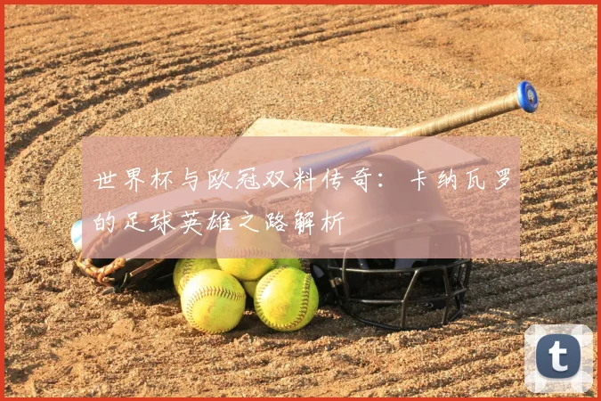 世界杯与欧冠双料传奇：卡纳瓦罗的足球英雄之路解析