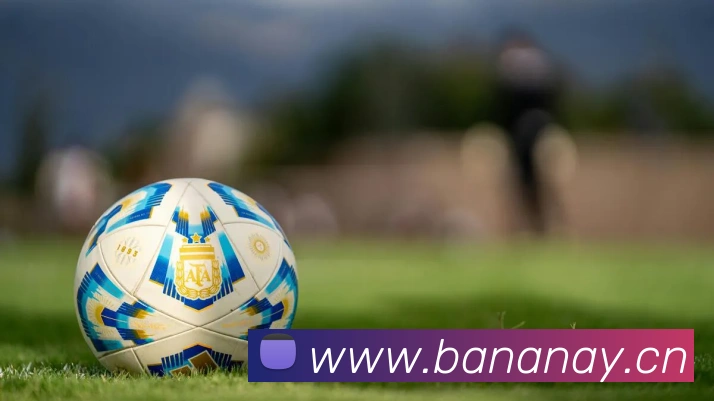 华体官网登录app平台生态图