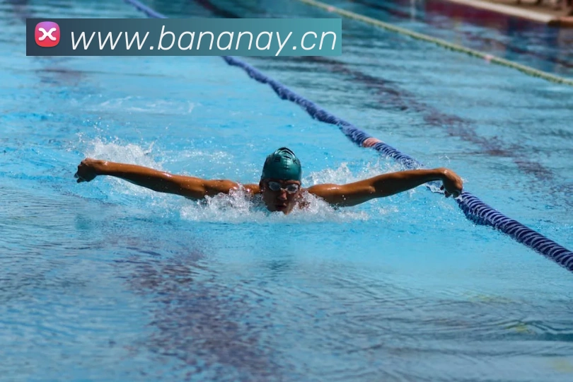 华体官网登录appAPP 封面图